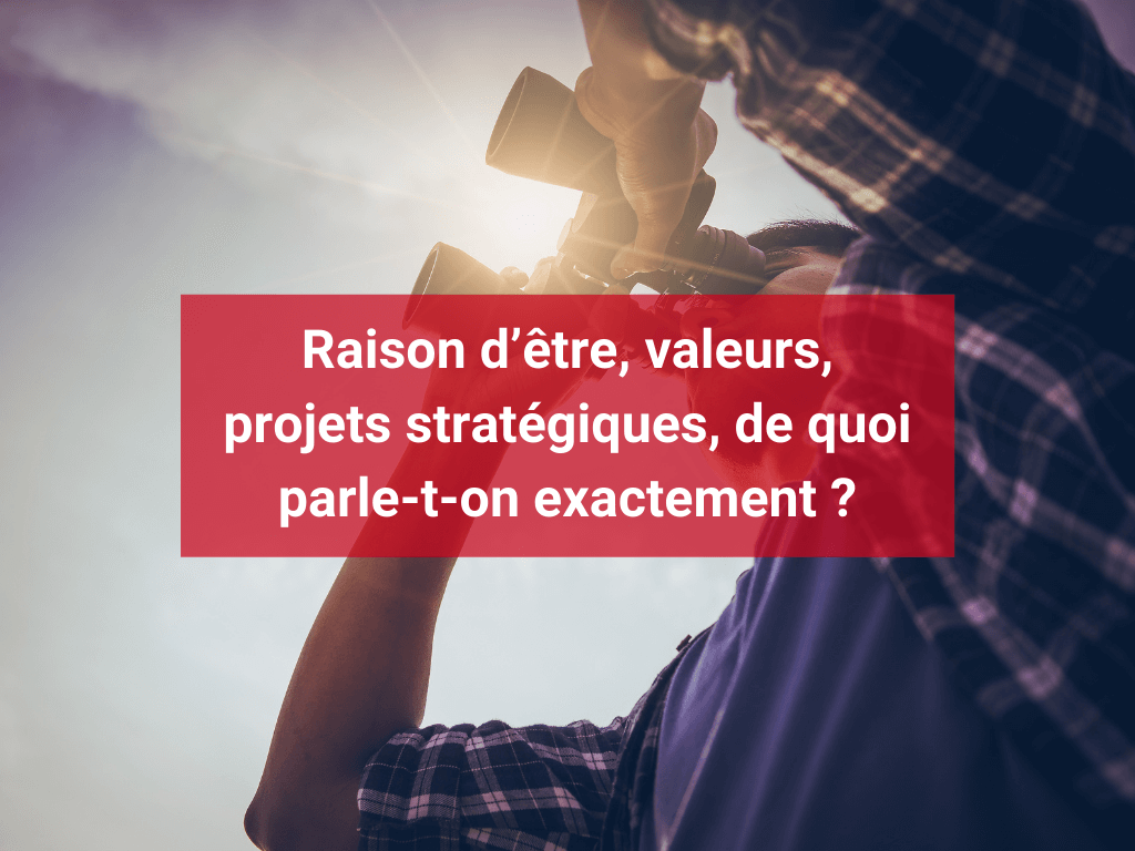 Raison D Etre Valeurs Projets Strategiques De Quoi Parle T On Exactement Axess Conseil Formation